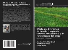 Portada del libro de Efecto de diferentes fechas de trasplante sobre el crecimiento y el rendimiento del arroz