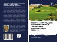 Обложка Европейское будущее: основные вызовы в современном интеграционном процессе