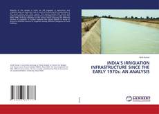 Copertina di India’s Irrigiation infrastructure since the Early 1970s: An Analysis