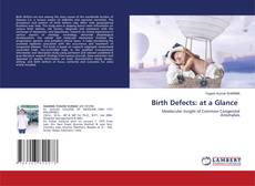 Copertina di Birth Defects: at a Glance
