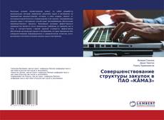 Copertina di Совершенствование структуры закупок в ПАО «КАМАЗ»