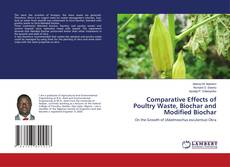 Copertina di Comparative Effects of Poultry Waste, Biochar and Modified Biochar
