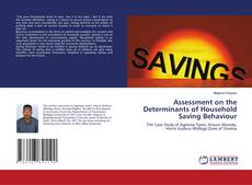 Copertina di Assessment on the Determinants of Household Saving Behaviour