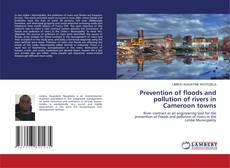 Copertina di Prevention of floods and pollution of rivers in Cameroon towns