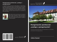 Copertina di Peregrinación penitencial: ¿castigo o peregrinación?