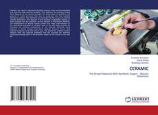 Copertina di CERAMIC