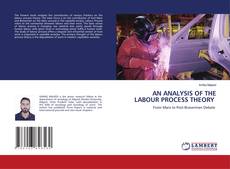 Copertina di AN ANALYSIS OF THE LABOUR PROCESS THEORY