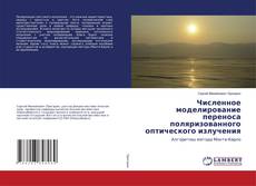 Copertina di Численное моделирование переноса поляризованного оптического излучения