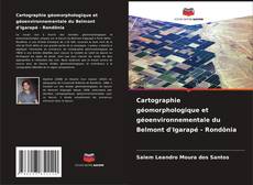 Обложка Cartographie géomorphologique et géoenvironnementale du Belmont d'Igarapé - Rondônia