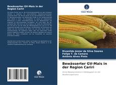 Обложка Bewässerter GV-Mais in der Region Cariri
