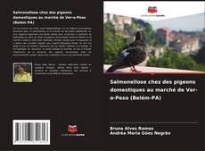 Buchcover von Salmonellose chez des pigeons domestiques au marché de Ver-o-Peso (Belém-PA)