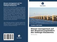 Обложка Wasser-management auf den Bewässerungsfeldern des Salbisgo-Staudamms