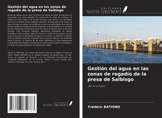Copertina di Gestión del agua en las zonas de regadío de la presa de Salbisgo