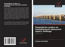 Обложка Gospodarka wodna na nawadnianych obszarach zapory Salbisgo
