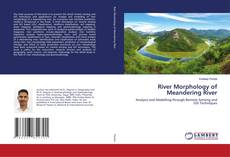 Copertina di River Morphology of Meandering River