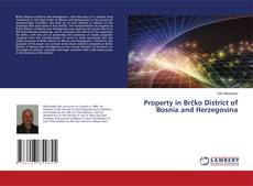 Couverture de Property in Brčko District of Bosnia and Herzegovina