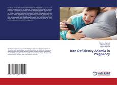 Buchcover von Iron Deficiency Anemia in Pregnancy