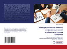 Copertina di Инструменты бюджетного софинансирования инфраструктурных проектов
