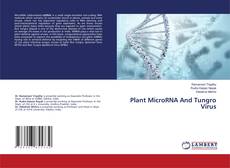 Plant MicroRNA And Tungro Virus kitap kapağı