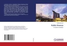 Copertina di Public Finance