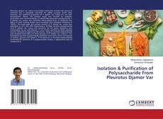 Copertina di Isolation & Purification of Polysaccharide From Pleurotus Djamor Var