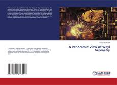 Copertina di A Panoramic View of Weyl Geometry