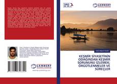 Copertina di KEŞMİR SİYASETİNİN ODAĞINDAN KEŞMİR SORUNUNU İZLEMEK; ÖRGÜTLENMELER VE SÜREÇLER