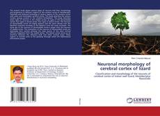 Copertina di Neuronal morphology of cerebral cortex of lizard