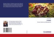 Copertina di FUNGI
