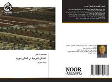 Bookcover of المدافن الهرمية في شمالي سوريا