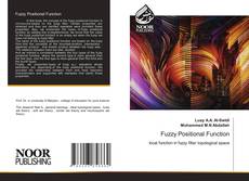 Bookcover of Fuzzy Positional Function
