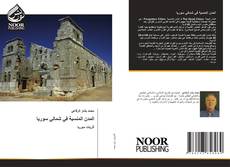 Buchcover von المدن المنسية في شمالي سوريا