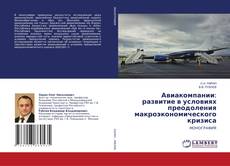 Copertina di Авиакомпании: развитие в условиях преодоления макроэкономического кризиса