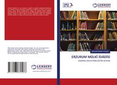 Copertina di ERZURUM MÜLKÎ İDÂDÎSİ