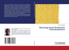 Copertina di Bioenergy-Gasol Production From Broomcorn
