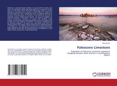 Copertina di Paleocene Limestone