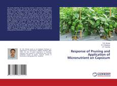 Copertina di Response of Pruning and Application of Micronutrient on Capsicum