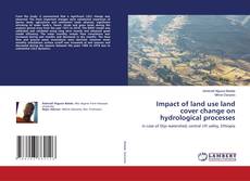 Copertina di Impact of land use land cover change on hydrological processes