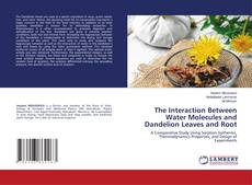 Copertina di The Interaction Between Water Molecules and Dandelion Leaves and Root