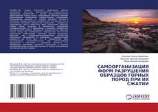 Buchcover von САМООРГАНИЗАЦИЯ ФОРМ РАЗРУШЕНИЯ ОБРАЗЦОВ ГОРНЫХ ПОРОД ПРИ ИХ СЖАТИИ