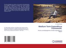 Buchcover von Medium Term Expenditure Framework: