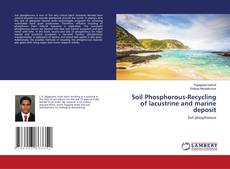 Buchcover von Soil Phosphorous-Recycling of lacustrine and marine deposit