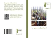 Bookcover of Le garçon de Sebeiland