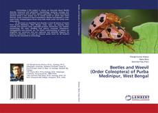 Copertina di Beetles and Weevil (Order Coleoptera) of Purba Medinipur, West Bengal