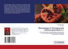 Buchcover von Marcottage in Pomegranate (Punica granatum L.)