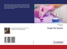 Buchcover von Single File System