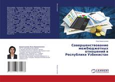 Copertina di Совершенствование межбюджетных отношений в Республике Узбекистан