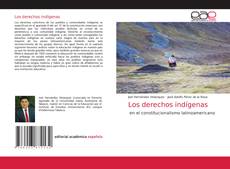 Los derechos indígenas的封面
