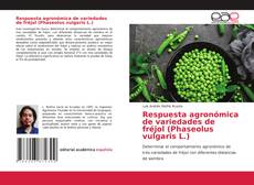 Couverture de Respuesta agronómica de variedades de fréjol (Phaseolus vulgaris L.)