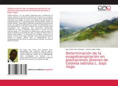 Couverture de Determinación de la evapotranspiración en plantaciones jóvenes de Cedrela odorata L. bajo riego.